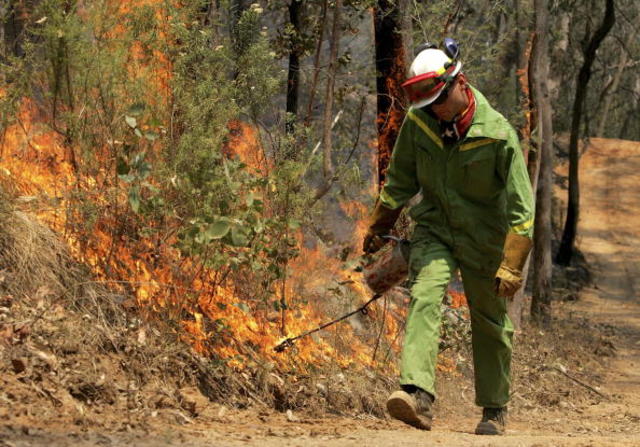 Prescribed burn planned for southwest Idaho aims to diversify landscape - Vimarsana News