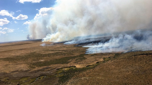 NIFC: Campers likely started massive Nevada wildfire