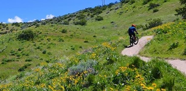 BLM wants the public to weigh in on Ridge to Rivers trail development plan